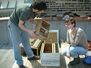 The Beekeeper's Apprentice Steps Up Image